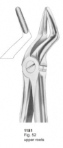  Fig. 52 upper roots 